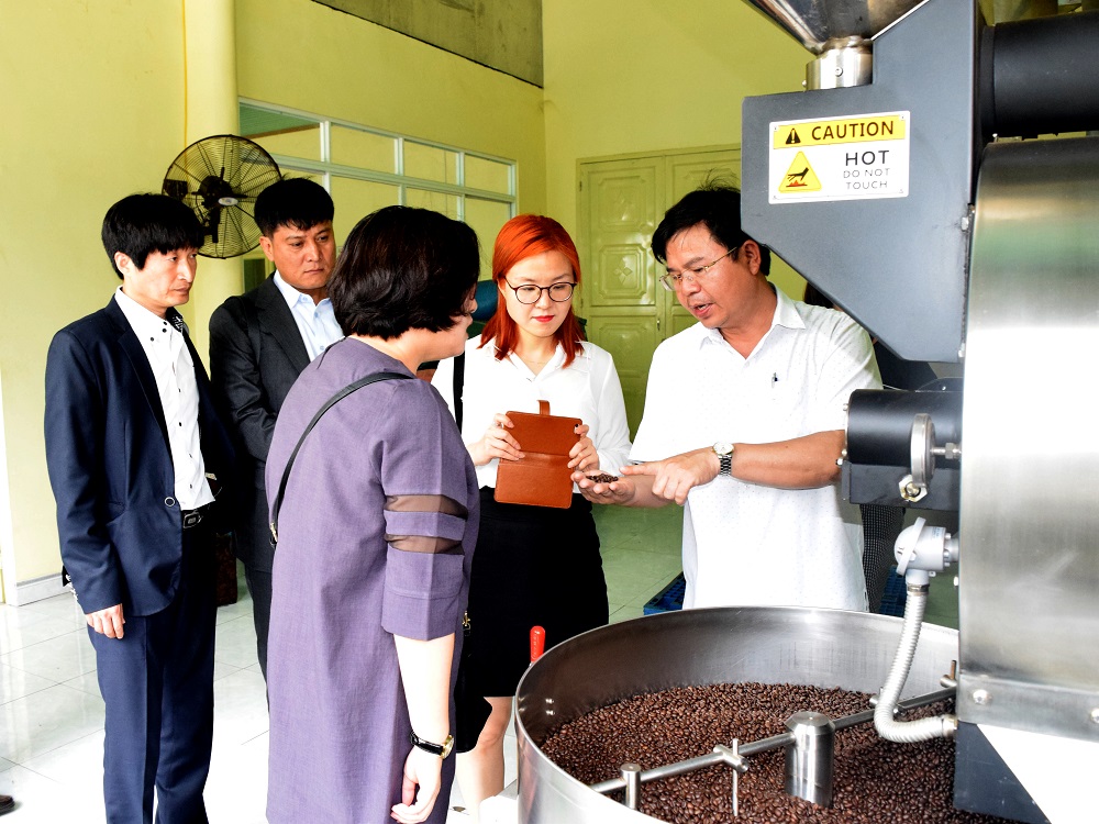 Đoàn công tác của Hàn Quốc đến thăm nhà máy chế biến cà phê xuất khẩu của Công ty Cổ phần Đầu tư và phát triển An Thái.